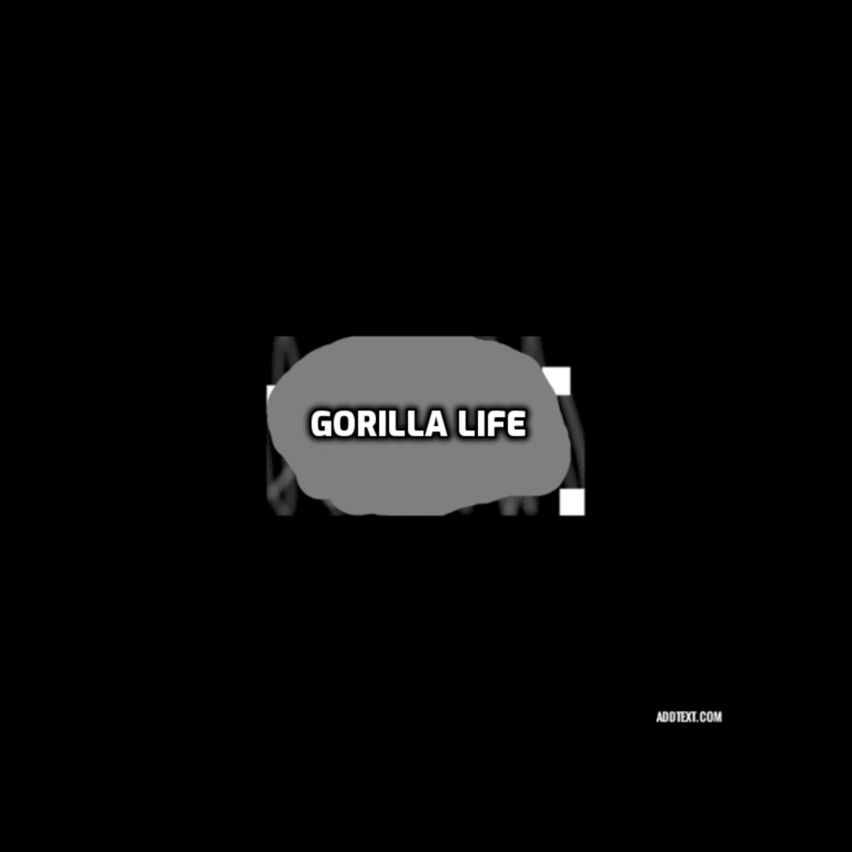 Gorilla Life