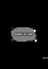 Gorilla Life