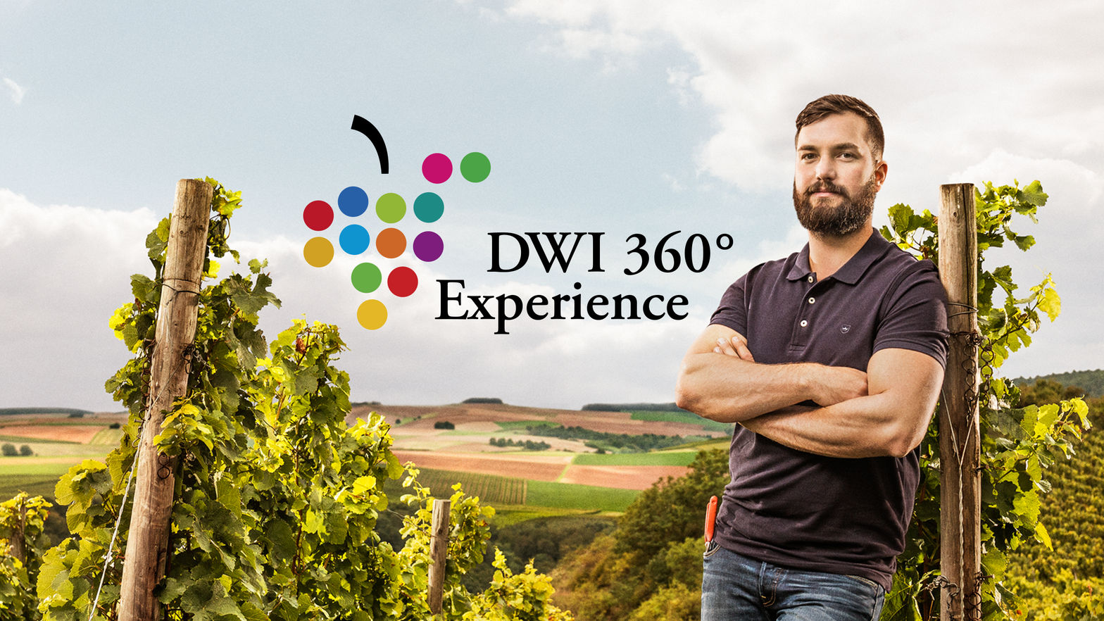 DWI VR-Experience
