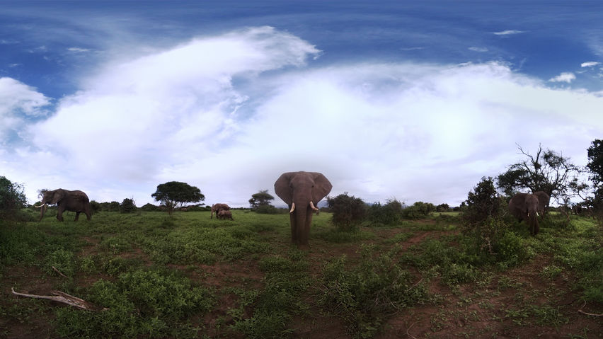Introduction to Virtual Reality