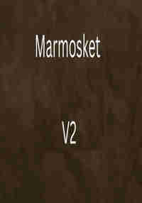 Marmosket V2