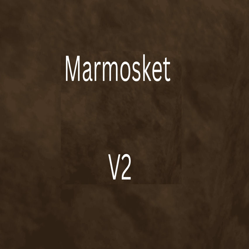 Marmosket V2