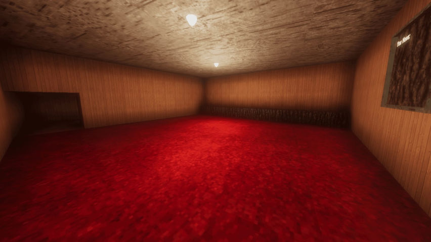 Marmosket V2