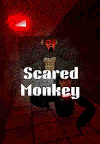 Scared Monkey