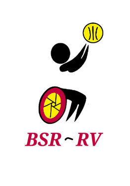 Wheelchair Basketball - VR