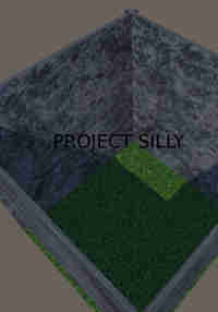 Project Silly