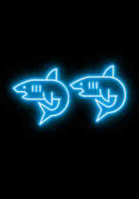Into The Deep XR