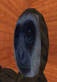 Monkeys Spot