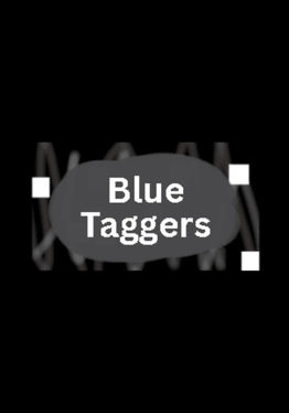 Blue Taggersㅤ