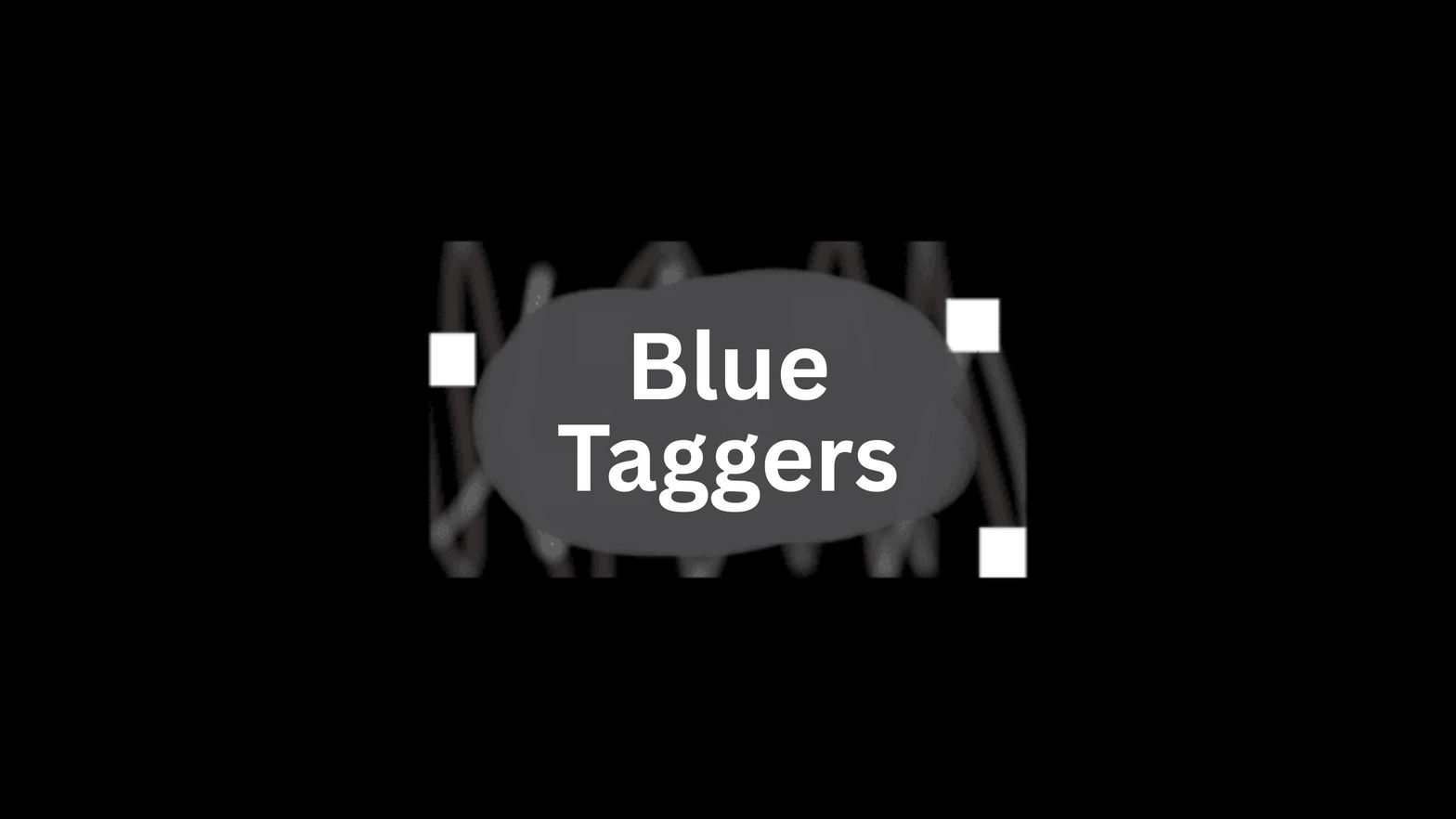 Blue Taggersㅤ