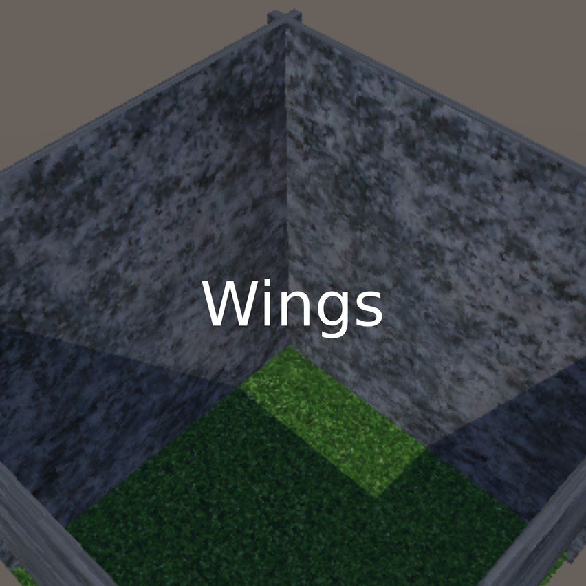 Wings