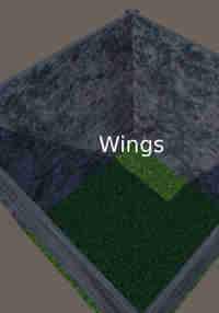 Wings