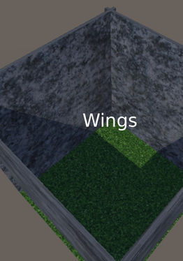 Wings
