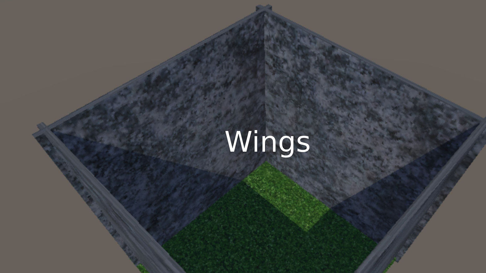 Wings