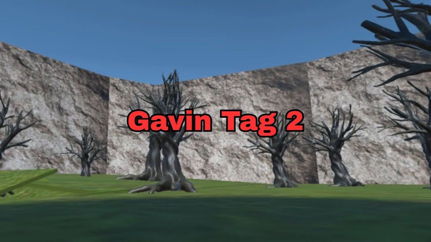 Gavin Tag 2