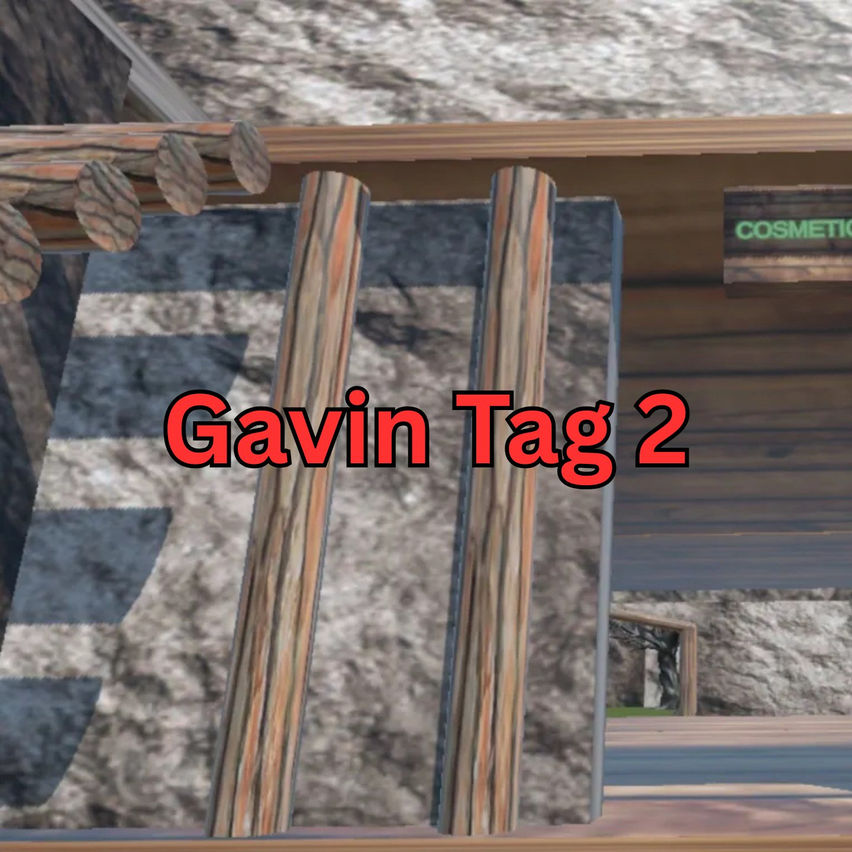 Gavin Tag 2