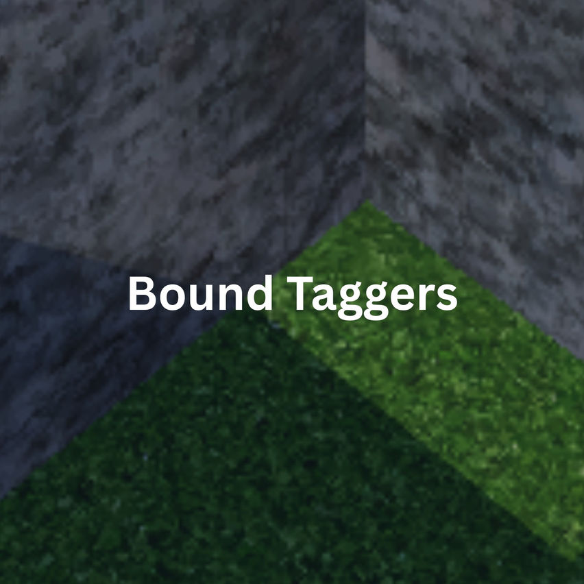 Bound Taggers