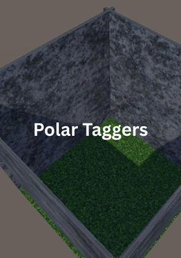 Polar Taggers