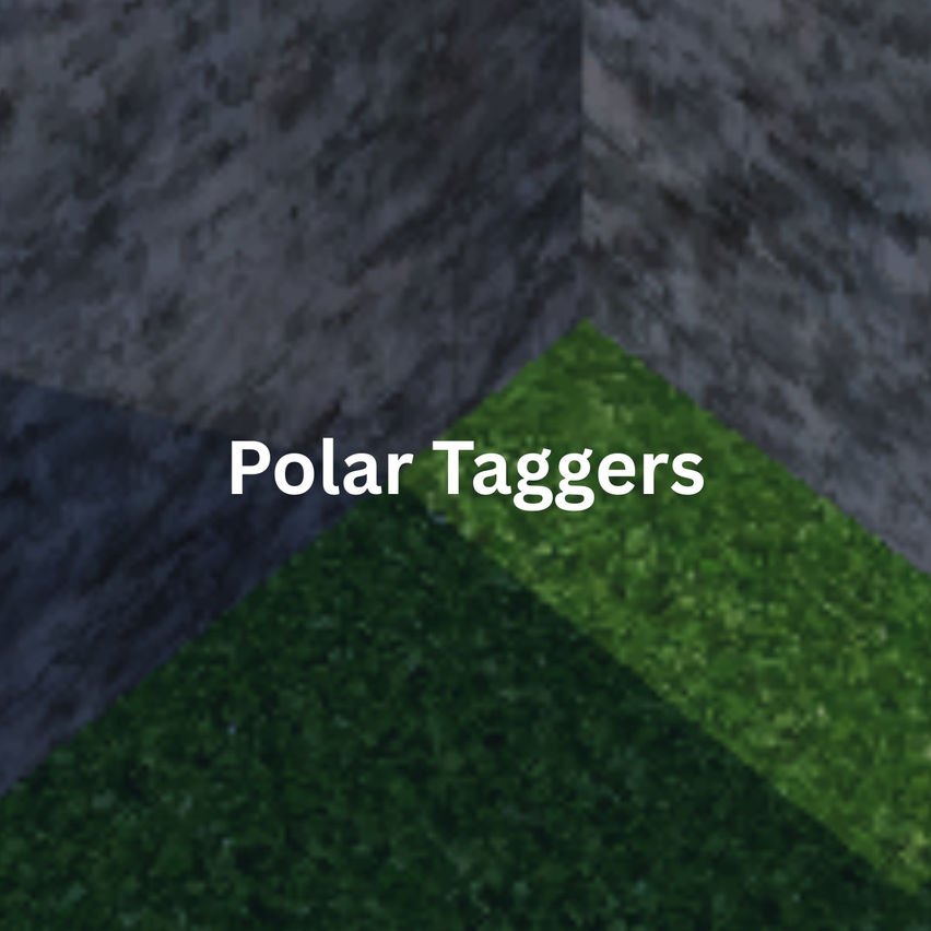 Polar Taggers