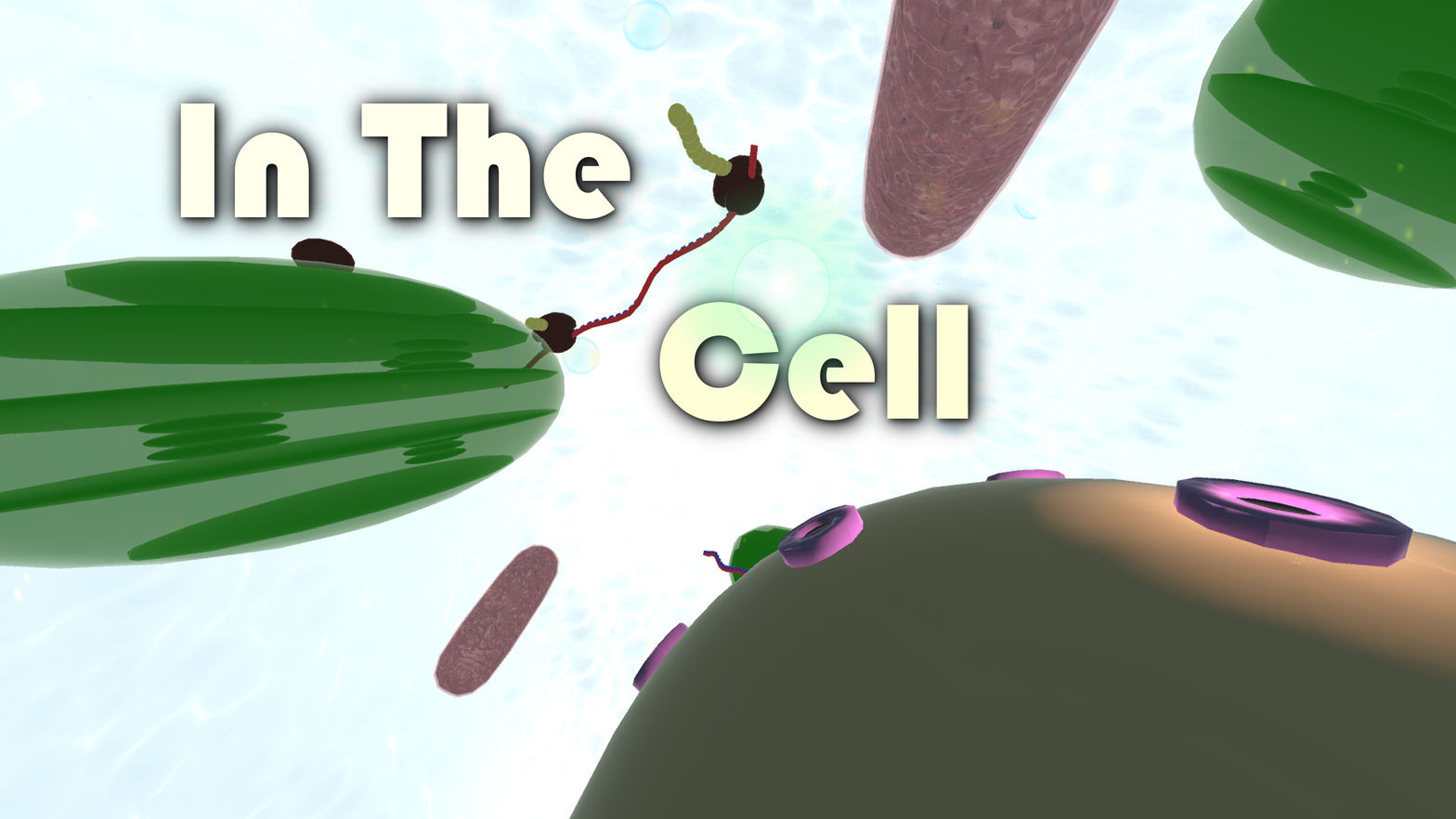 In The Cell