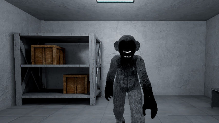 Chimp Foundation Reimaged