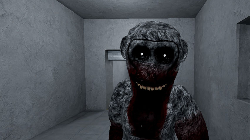Chimp Foundation Reimaged