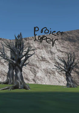 ProjectSuper