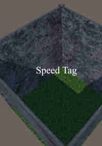 Speed Tag
