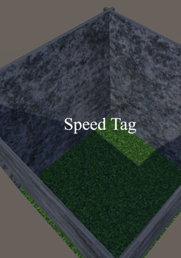 Speed Tag