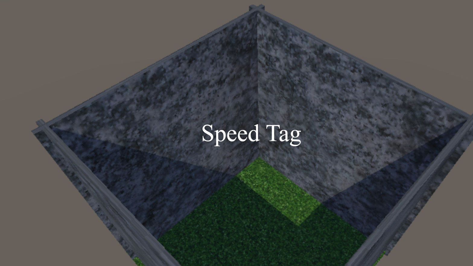 Speed Tag