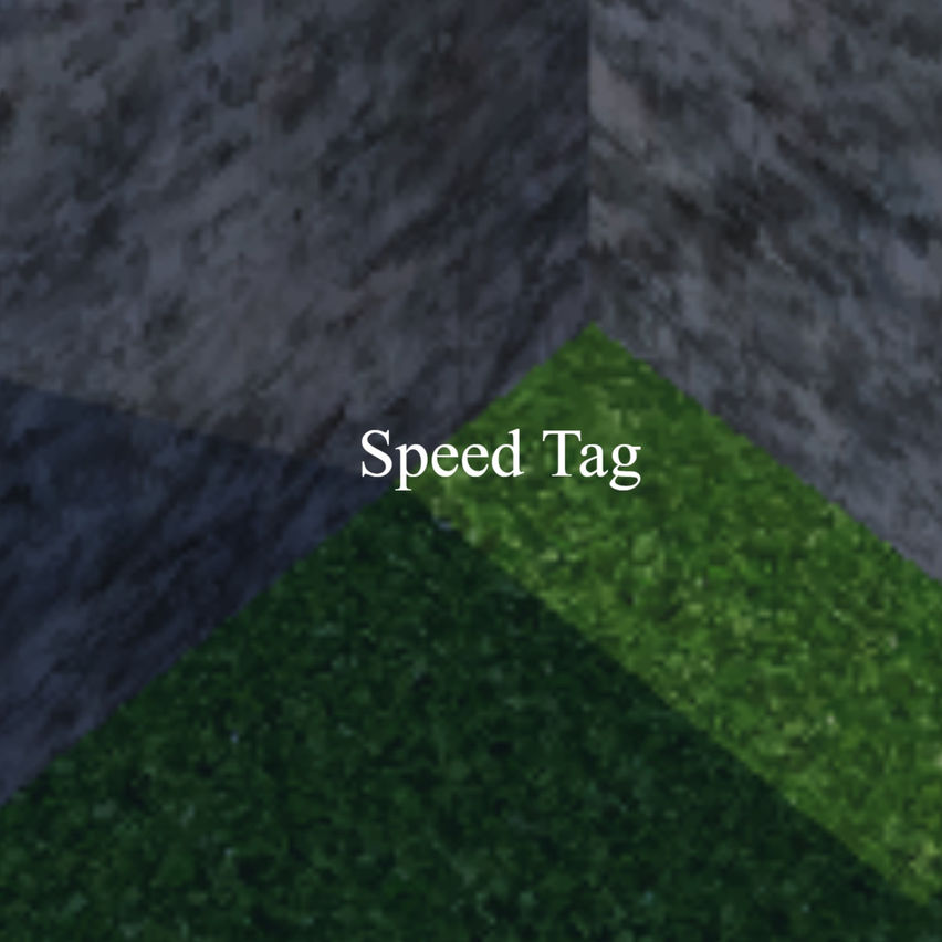 Speed Tag