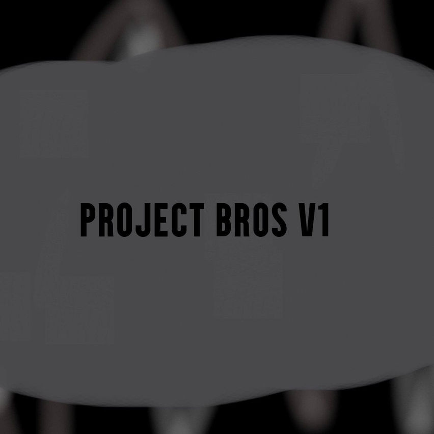 Project Bros V1