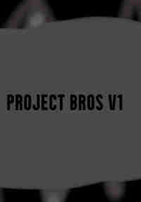 Project Bros V1