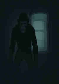 APES IN LOCKDOWN PROTOCOL