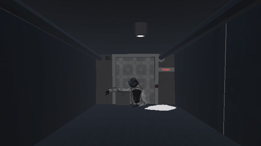 APES IN LOCKDOWN PROTOCOL