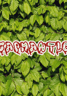 Capmantle V2