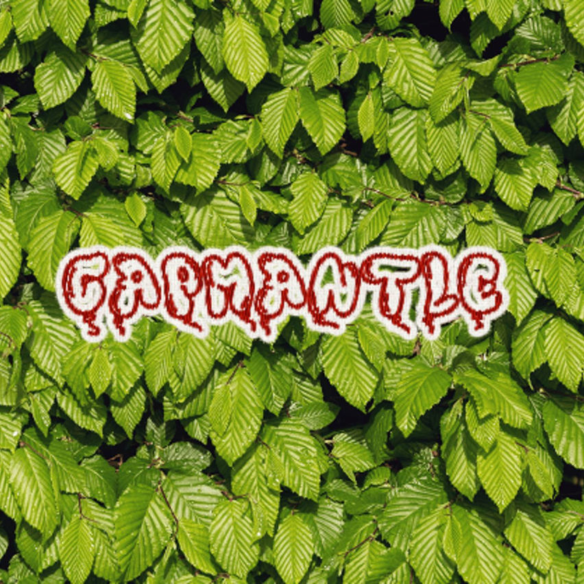 Capmantle V2
