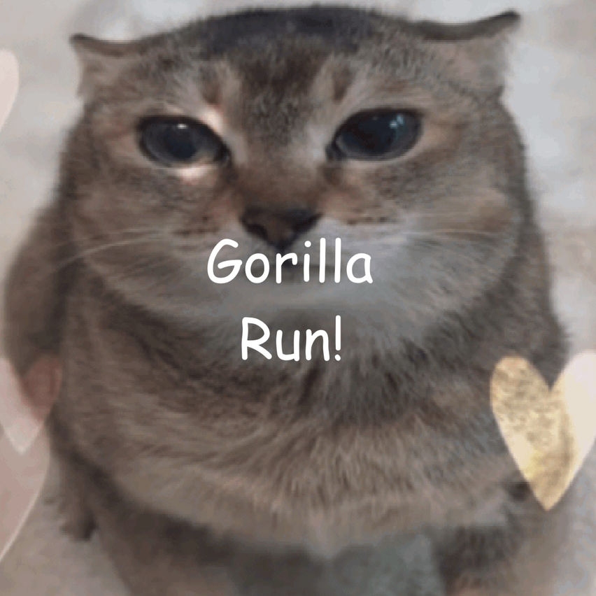 Gorilla Run!