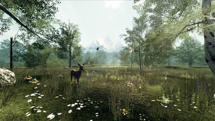 Nature Treks VR