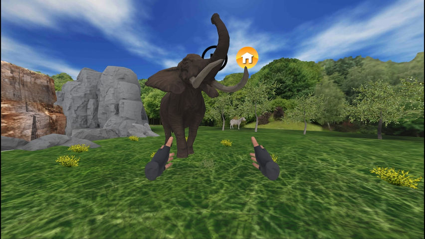 VR Animal Park