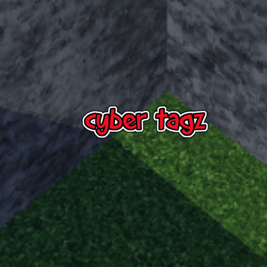 Cyber Tagz