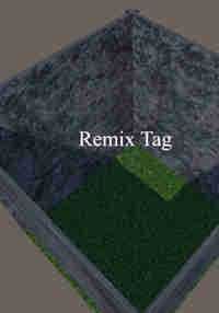 Remix Tag