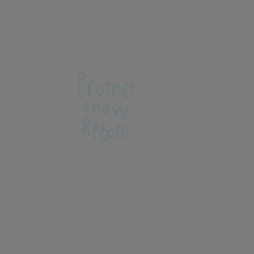 Project Snow Reborn