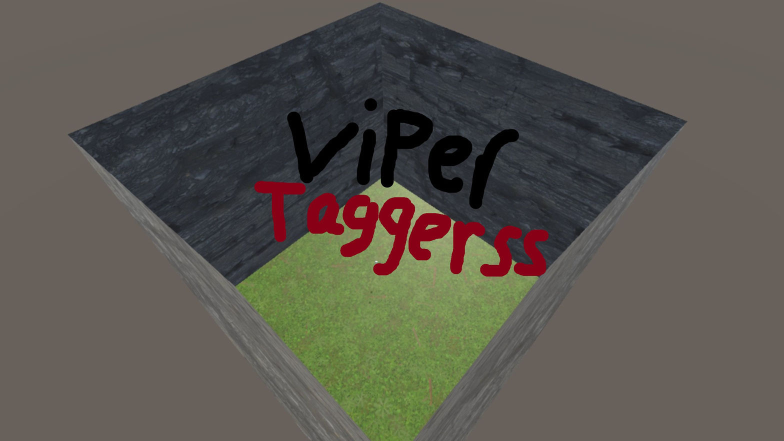 ViperTaggerss