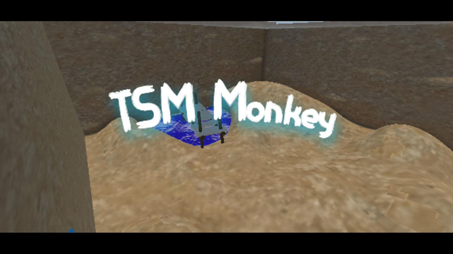 TSM Monkey