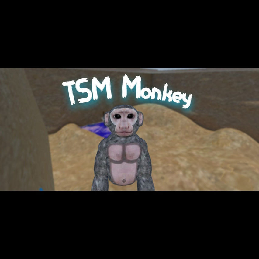 TSM Monkey