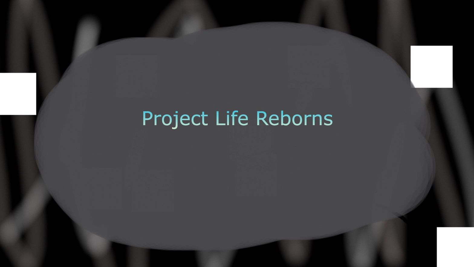 Project Life Reborns