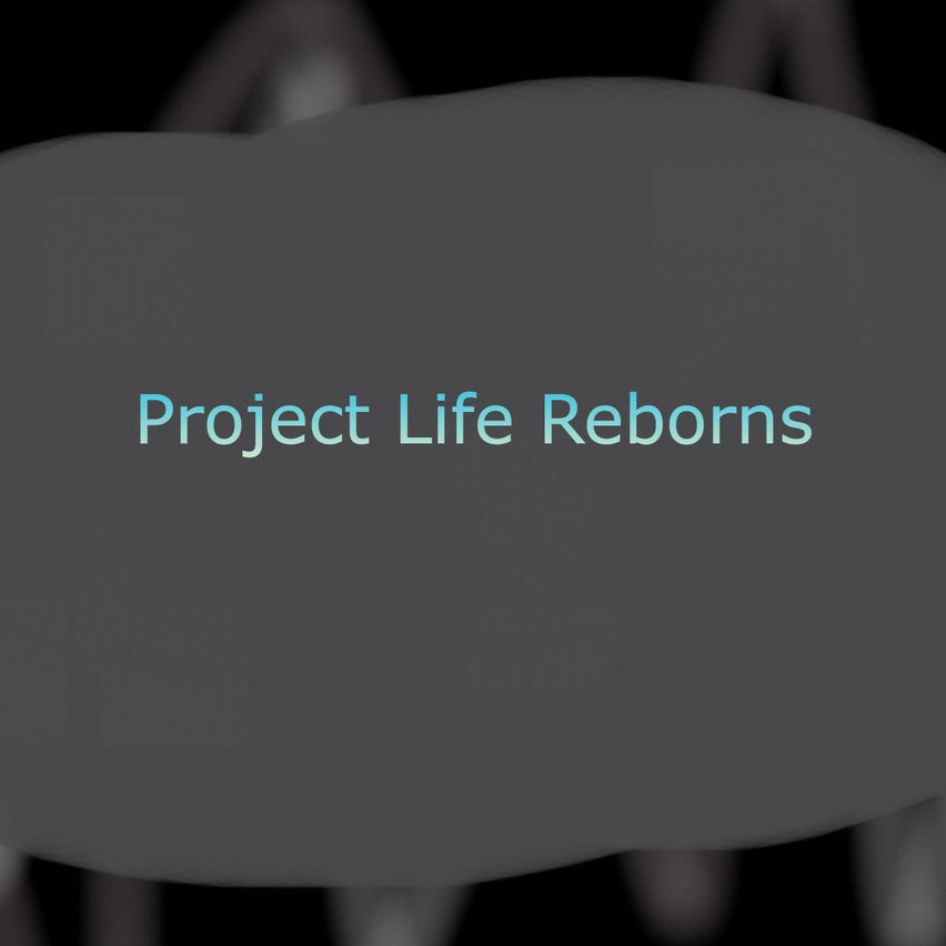 Project Life Reborns