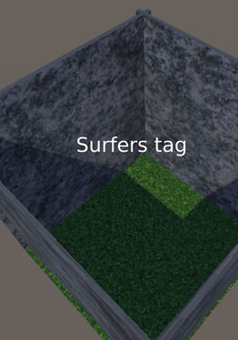 Surfers tag
