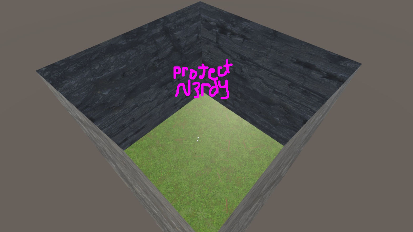 Project N3rdy